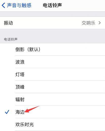 苹果手机打电话声音小问题的原因及解决方法（探究苹果手机打电话时出现声音小的情况，提供解决方案）  第3张