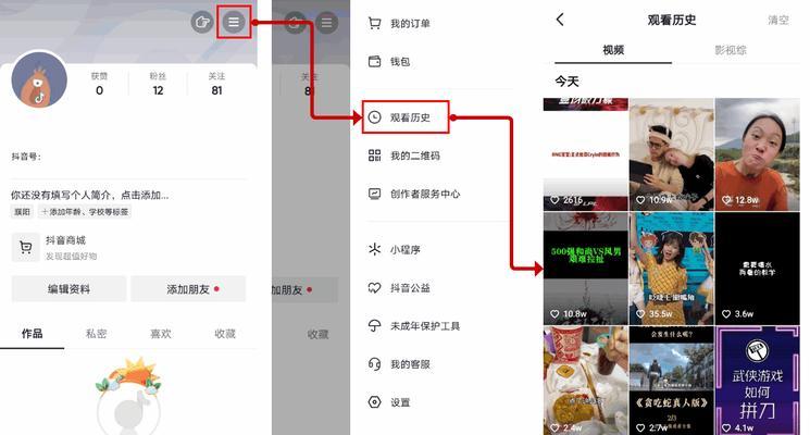 10个简便方法帮你查看抖音历史记录（教你如何轻松回顾曾经的抖音足迹）  第3张