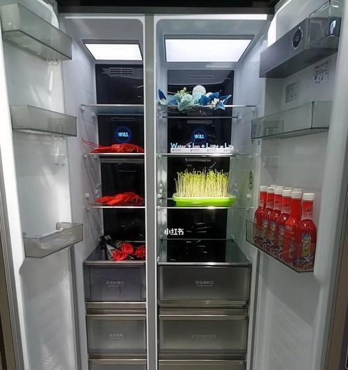 放冰箱的原因及注意事项（保鲜、防腐、延长食物保存时间）  第2张