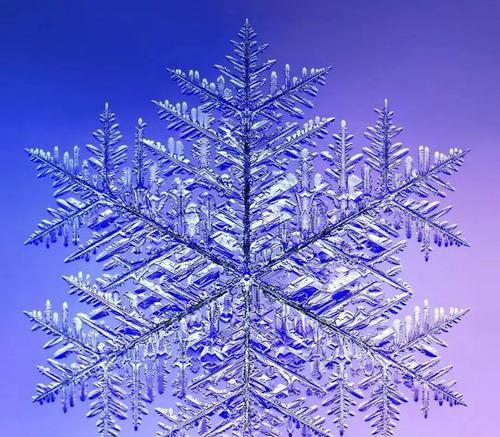 解决投影仪雪花斑块问题的方法（有效应对投影仪出现雪花斑块的技巧与建议）  第1张