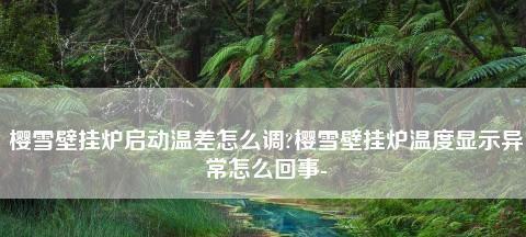 樱雪壁挂炉显示E9故障分析及维修办法（解读樱雪壁挂炉故障代码E9）  第2张