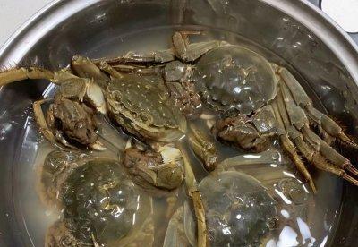 清蒸螃蟹怎么做不腥（清蒸螃蟹的做法步骤）  第1张