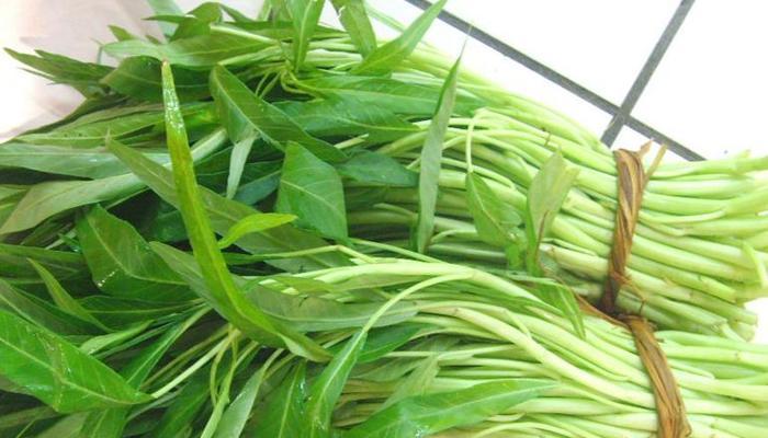 炒出绿叶脆茎，空心菜的精彩表演（美味食材）  第2张