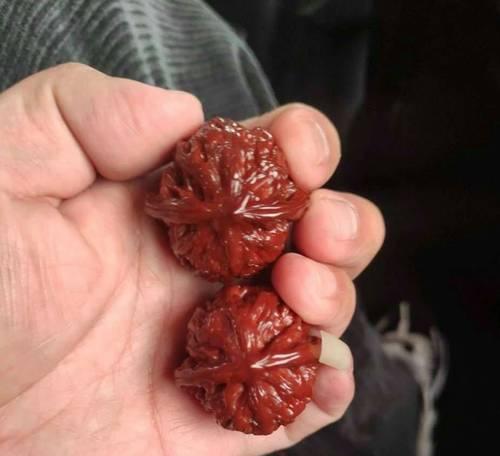 玩转文玩核桃开裂技巧（轻松学会核桃开裂）  第3张
