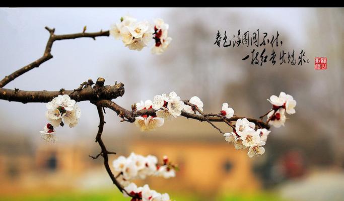 以红杏出墙是什么意思（探究社会中的情感背叛与勇敢选择）  第1张
