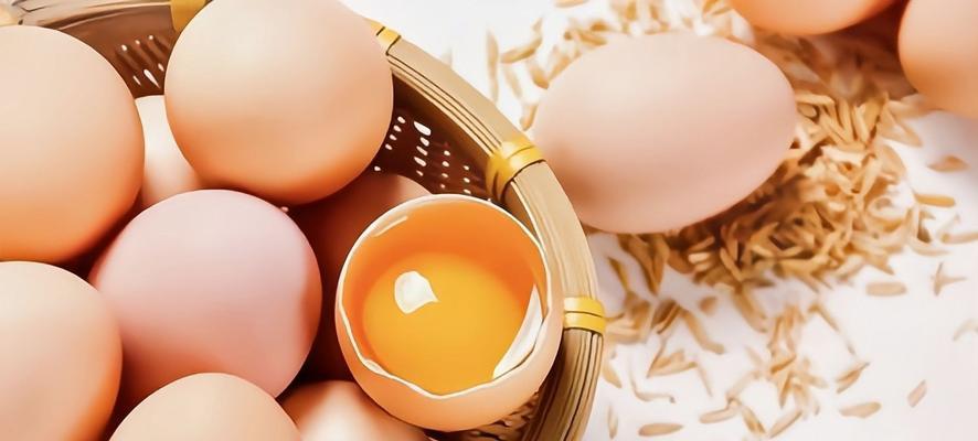 如何判断鸡蛋是否坏了（掌握简单方法）