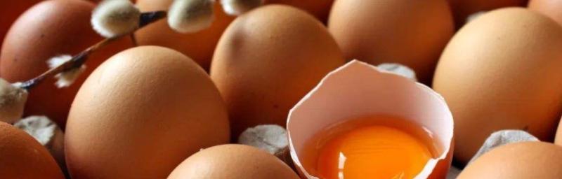 如何判断鸡蛋是否坏了（掌握简单方法）  第3张