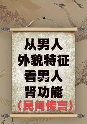 男性肾功能保养秘籍（关注肾脏健康）  第1张