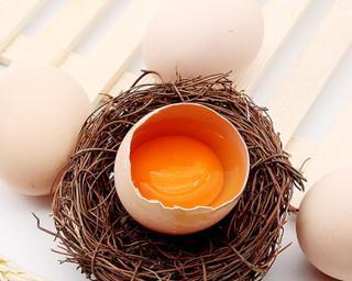 如何识别土鸡蛋好坏（简单易行的方法让你轻松判断鸡蛋质量）  第2张