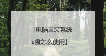 U盘重装系统的简便方法（使用U盘快速为电脑重新安装操作系统）  第3张