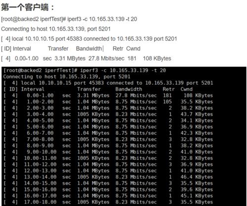 深入了解服务器IP查询命令的使用方法（探索服务器IP查询命令的关键功能和应用场景）