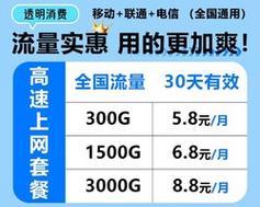 如何优化4G网速慢的设置方法（解决4G网速慢的有效方案与技巧）