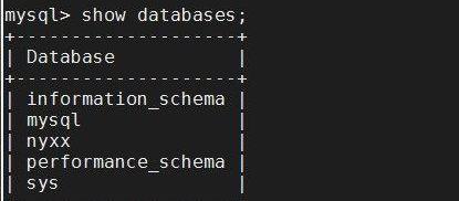 MySQL数据库基础知识解析（深入了解MySQL数据库的重要性及基本用法）