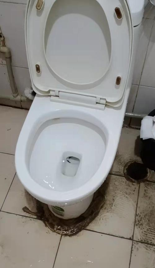 马桶堵了怎么办（解决马桶堵塞问题的实用方法）