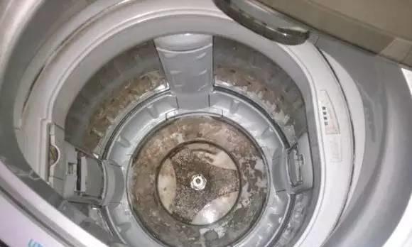 如何彻底清洗洗衣机（简单方法让你的洗衣机焕然一新）  第3张