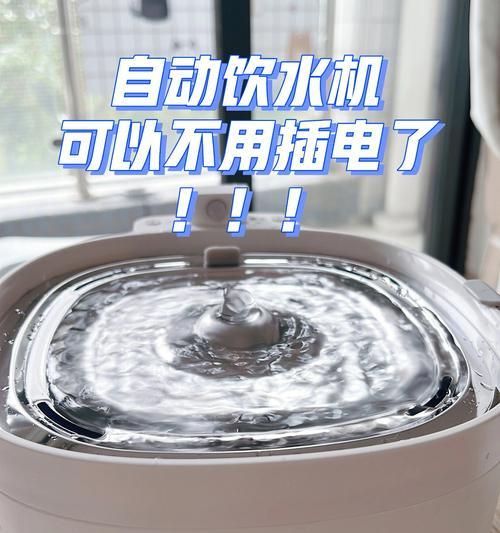 宠物自动饮水机的固定方法（简单易行的固定方法）