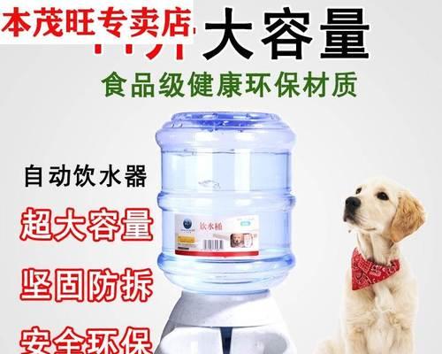 宠物自动饮水机的固定方法（简单易行的固定方法）  第3张