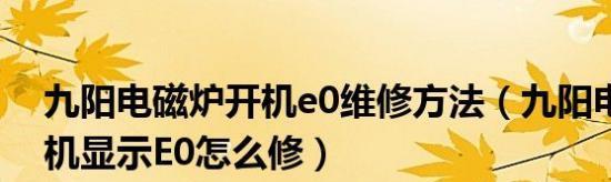 电磁炉常见故障及维修方法（解决电磁炉出现E0故障的关键方法）  第3张