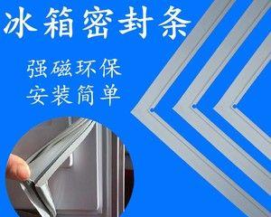 冰箱胶条的维护与处理方法（保持冰箱密封）  第1张