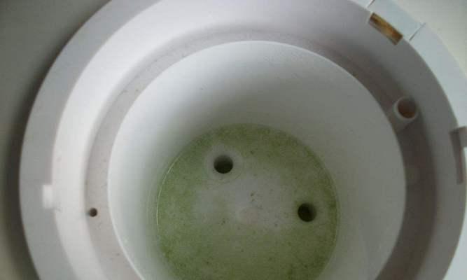饮水机细菌肆虐，如何有效清除（探索有效的饮水机细菌清除方法）  第2张