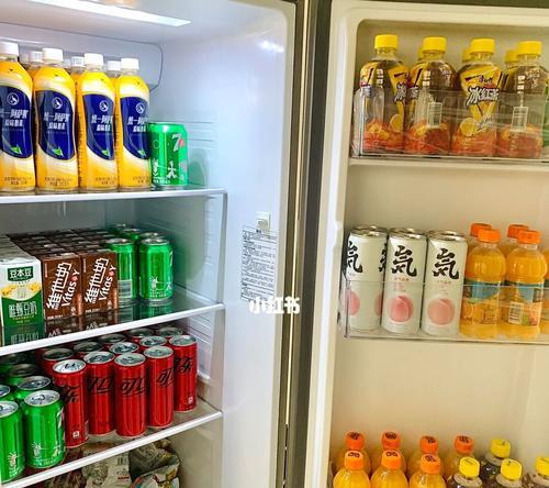 饮料冰柜收纳改造（创意改造让冰柜内优化存储）  第2张