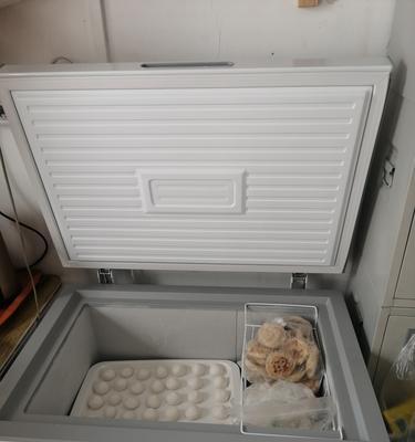 冰柜内漏维修价格揭秘（了解冰柜内漏维修所需费用）