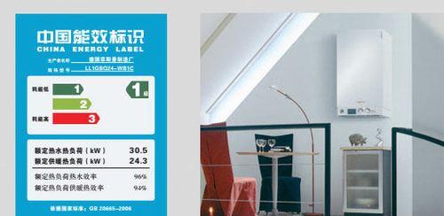 博拉途壁挂炉故障排查与解决方法（故障解决及常见问题排查）