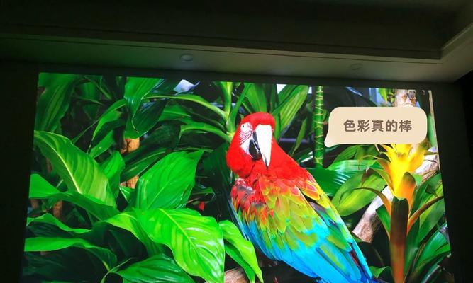 投影仪画面模糊且闪屏是什么问题？如何快速解决？