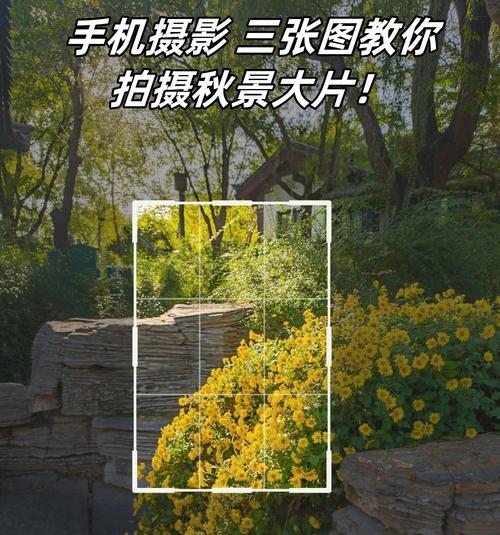 手机拍照如何调整背景虚化效果？技巧有哪些？  第3张