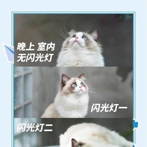 手机拍照噪点大如何解决？