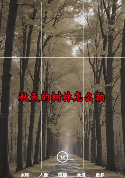手机拍照高山时如何确保画面清晰？  第1张
