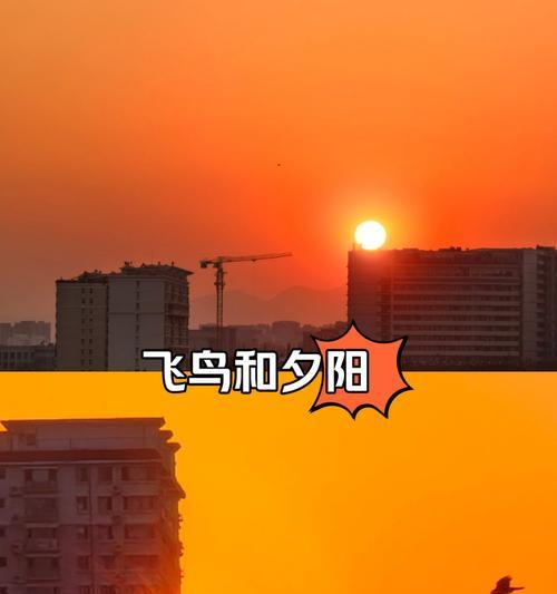 如何用手机拍出飞鸟的美感？有哪些技巧？  第2张