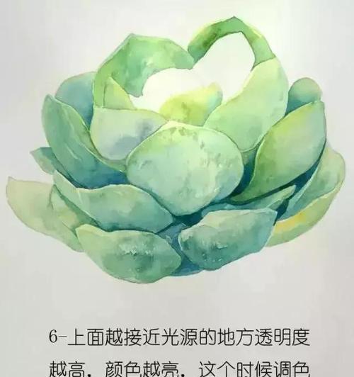 水彩拍照怎么拍用手机拍？有哪些技巧可以拍出高质量的照片？  第2张
