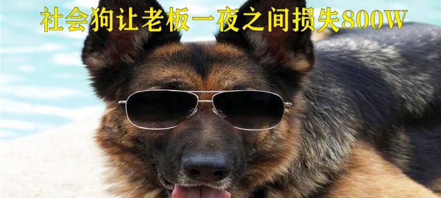 狗老板使用的笔记本电脑品牌型号是什么？  第3张