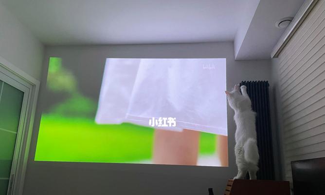 猫猫投影仪是什么设备？它的工作原理和用途是什么？  第1张