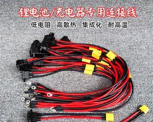 闪300电瓶充电器的选择标准是什么？充电时应注意什么？