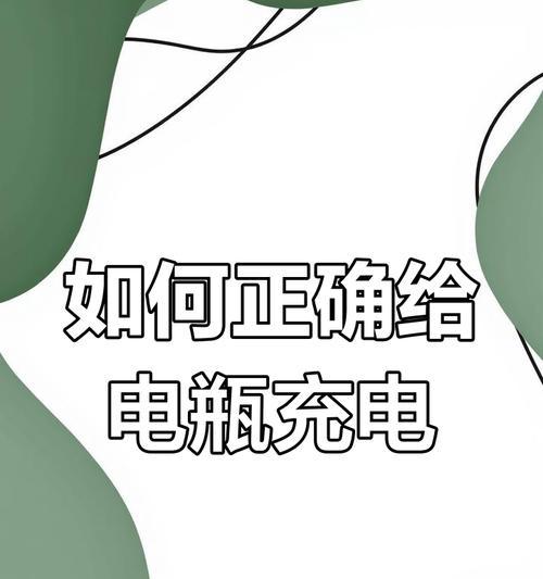电瓶车不使用充电器如何充电？有哪些替代方法？  第3张