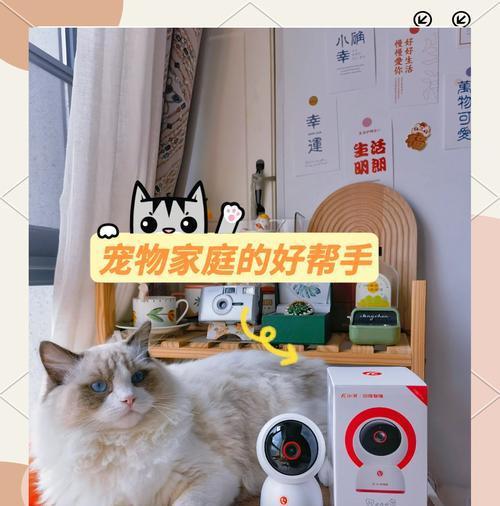 手机摄像头安装在猫上的方法是什么？安装后效果如何？