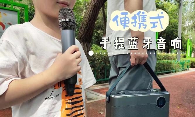 夏新音响15单元的音质表现如何？其质量评价是什么？  第3张